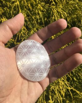 High Quality Selenite Palm Stone – Engraved Flower of Life – Polished Stone Oval