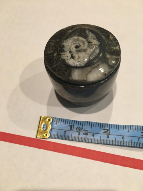 Round Shape Fossils Orthoceras Ammonite Small Jewelry Box