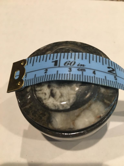 Round Shape Fossils Orthoceras Ammonite Small Jewelry Box